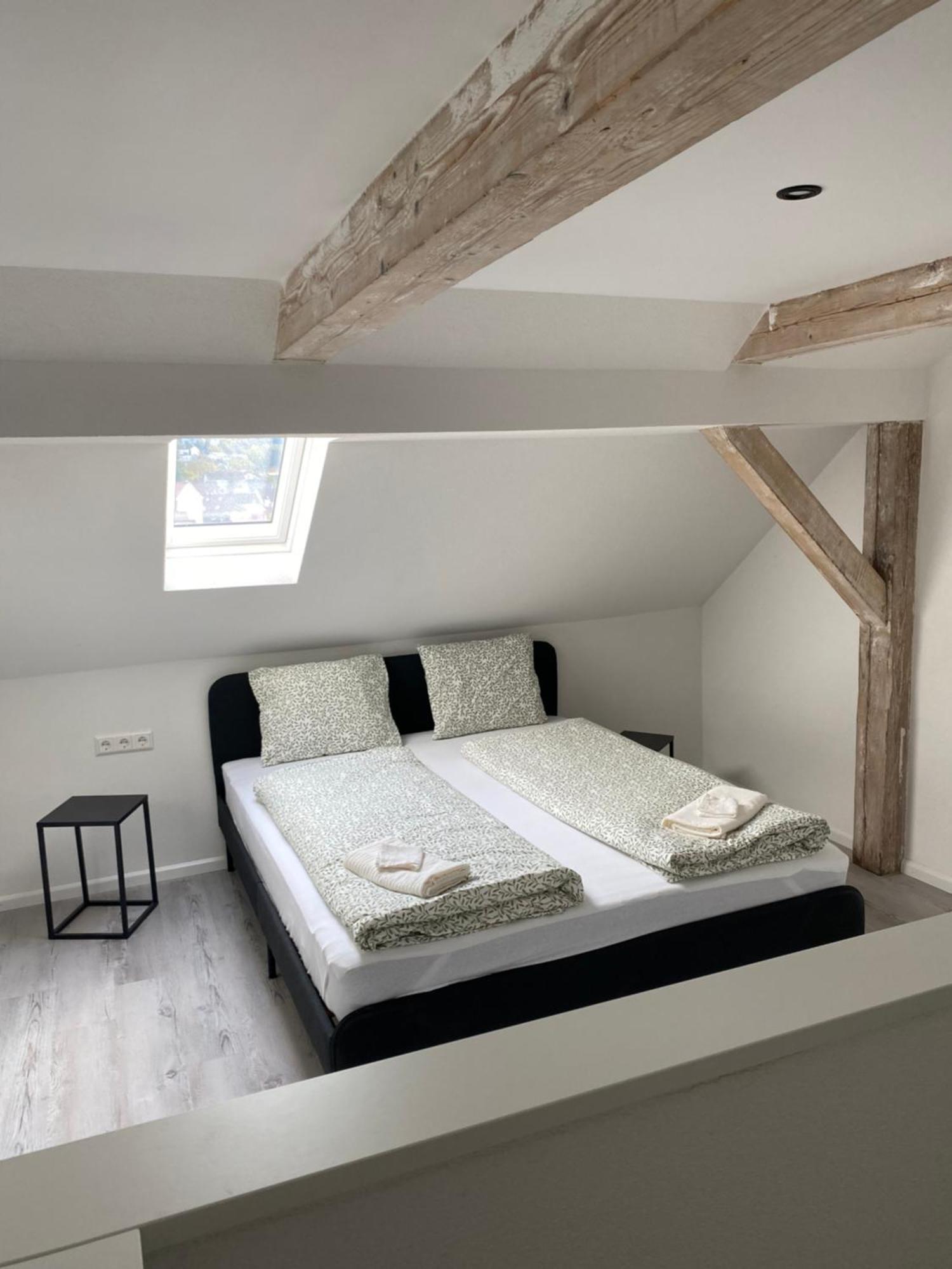 Greenhome Loerrach -Ihre Apartments Im 3-Laendereck- 外观 照片